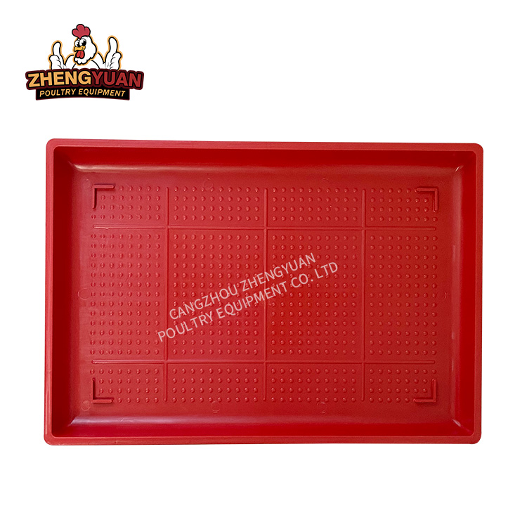 Square Type Red color plastic poultry feeders chicken and poultry feeding plates baby chicken broiler feeding tray